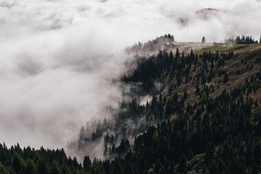 SLOW TRAVEL IN OCTOBER 