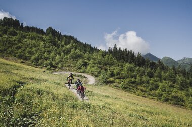 Several mountain bikers ride a winding trail through a green valley with mountains in the background. | © Mia Maria Knoll 