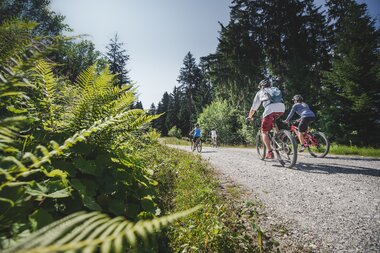 Family riding mountain bikes on a forest trail in a natural landscape, surrounded by trees and green vegetation. | © Mia Maria Knoll 