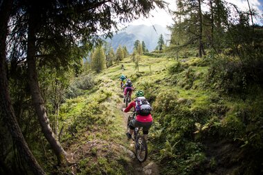A group of mountain bikers riding on a narrow trail through a lush, forested mountainous landscape. | © David Schultheiß