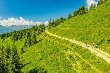 Two cyclists ride on a narrow trail in green mountains near Zell am See-Kaprun, surrounded by forest and blue sky. | © Zell am See-Kaprun Tourismus