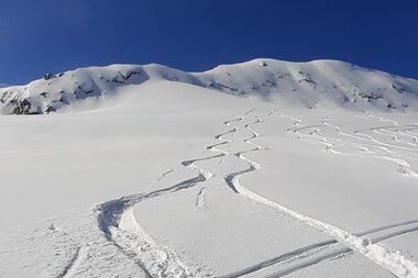 Snow-covered mountain slope with ski tracks in fresh snow under a clear blue sky | © Skischule Oberschneider 