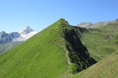 Green mountain summit with a hiking trail, surrounded by other mountains and snow in the background. | © Zell am See-Kaprun Tourismus
