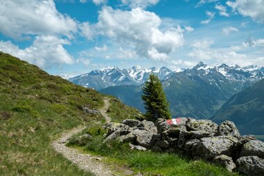 Mountain trail with views of snow-capped peaks in the background, lush green meadow in the foreground. | © Best Mountain Artists, Saalbach-Hinterglemm