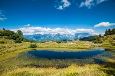 View of a small lake surrounded by green hills and mountains in the background on a clear day. | © Zell am See-Kaprun Tourismus