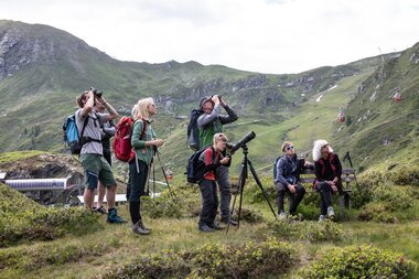 Group of people observing nature in a mountainous landscape with telescopes and binoculars. | © Kitzsteinhorn