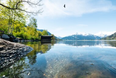 Peaceful lakeside camping site with mountain views, water, trees, sky, and a bird flying above, set in natural surroundings. | © Zell am See-Kaprun Tourismus