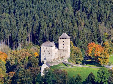 Kaprun Castle surrounded by dense forest and colorful autumn foliage, located on a green meadow.