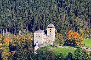 Kaprun Castle surrounded by dense forest and colorful autumn foliage, located on a green meadow.