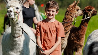A boy stands smiling in front of a group of alpacas and llamas outdoors. | © Zell am See-Kaprun Tourismus