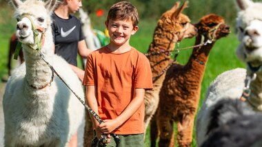 A child holds an alpaca on a rope, behind him are more alpacas and another child | © Zell am See-Kaprun Tourismus