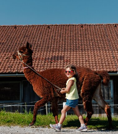 Child wearing sunglasses leads a llama on a field, with a building with a red roof in the background. | © Zell am See-Kaprun Tourismus