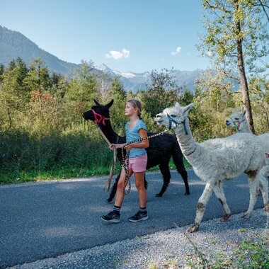 Children walk with llamas and alpacas along a trail in nature, surrounded by trees and mountains. | © Zell am See-Kaprun Tourismus