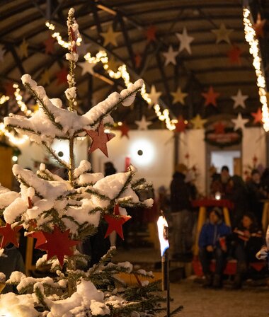 Christmas tree covered in snow with red stars, illuminated at a festive Advent market at Zeller See | © Zell am See-Kaprun Tourismus