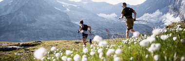 Two people running in an alpine landscape with mountains in the background, surrounded by flowers in the foreground. | © the.adventure.bakery
