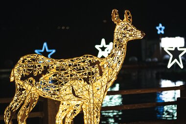 Illuminated animal decoration at night with star shapes in the background. | © Johannes Radlwimmer
