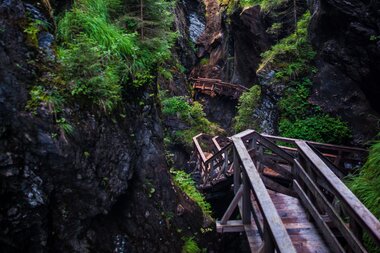 Wooden bridge and stairs in a narrow, lush gorge of rocks and plants, with additional bridges in the background. | © Christian Mairitsch