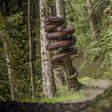 Art installation of twelve wooden sculptures attached to a tree in a forest.