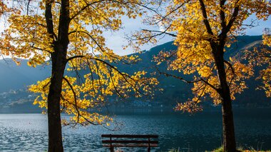 Autumn landscape featuring two trees and a bench by a lake, with falling leaves and mountains in the background. | © Christian Mairitsch