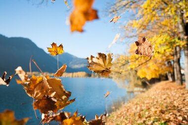 Colorful autumn leaves flying in front of a lake during fall, with trees in bright colors and mountains in the background. | © Christian Mairitsch