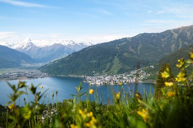 Landscape with lake, green hills, and snow-capped mountains in the background, spring flowers in the foreground. | © Zell am See-Kaprun Tourismus