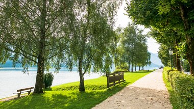Scenic lakeside promenade in summer with trees, a sandy path, and benches by the water. | © Zell am See-Kaprun Tourismus