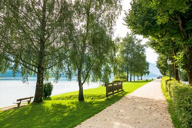 Scenic lakeside promenade in summer with trees, a sandy path, and benches by the water. | © Zell am See-Kaprun Tourismus
