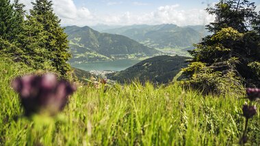 Panoramic view from Schmittenhöhe over green meadows, mountains, and a lake in an alpine landscape. | © Zell am See-Kaprun Tourismus