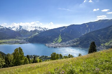 Landscape with a lake surrounded by mountains and green meadows on a sunny day. | © Nikolaus Fiastauer