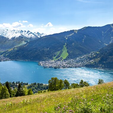 Landscape with water and mountains in the background, green meadows and trees in the foreground. | © Zell am See-Kaprun Tourismus