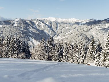 Snow-covered landscape with mountains and pine trees in winter, blue sky with clouds. | © Zell am See-Kaprun Tourismus