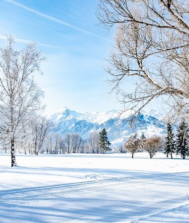 Winter landscape with snow-covered ground, cross-country ski track, trees, and mountains in the background. | © Dominik Wartbichler