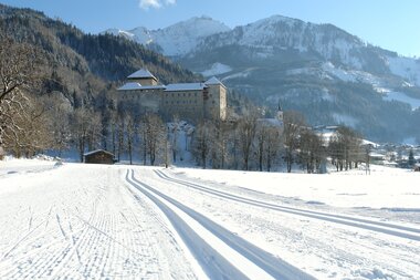 Cross country skiing with a view | © Zell am See-Kaprun Tourismus