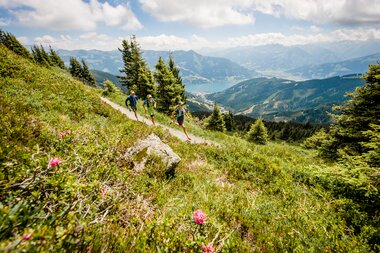 People trail running in a mountain landscape with views of mountains and a lake in lush greenery. | © Zell am See-Kaprun Tourismus