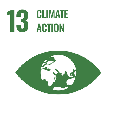 Icon representing climate action with a globe inside an eye, symbolizing environmental awareness. | © United Nations