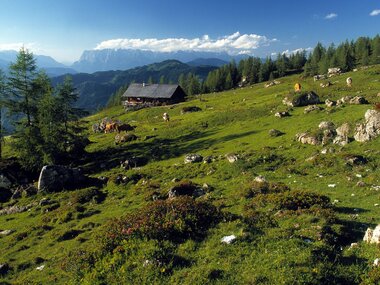 Mountain scenery in the Alps | © Zell am See-Kaprun Tourismus