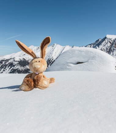 A stuffed bunny sits in the snow in front of a mountain landscape under clear sunlight. | © Peter Moser
