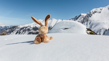 A stuffed bunny sits in the snow in front of a mountain landscape under clear sunlight. | © Peter Moser