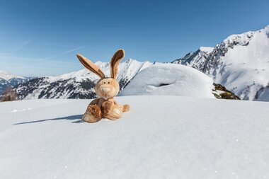 A stuffed bunny sits in the snow in front of a mountain landscape under clear sunlight. | © Peter Moser