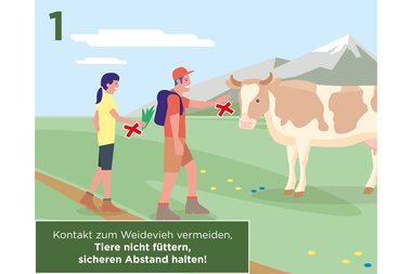 Warning for hikers to keep distance from farm animals, do not feed them, and protect the herd. | © Zell am See-Kaprun Tourismus