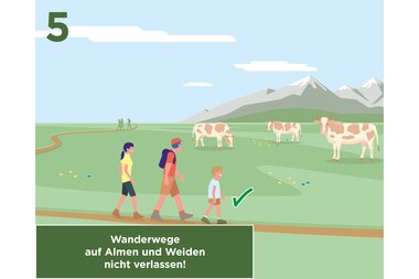 Hikers should not leave mountain pastures and meadows to protect animals and nature. | © Zell am See-Kaprun Tourismus